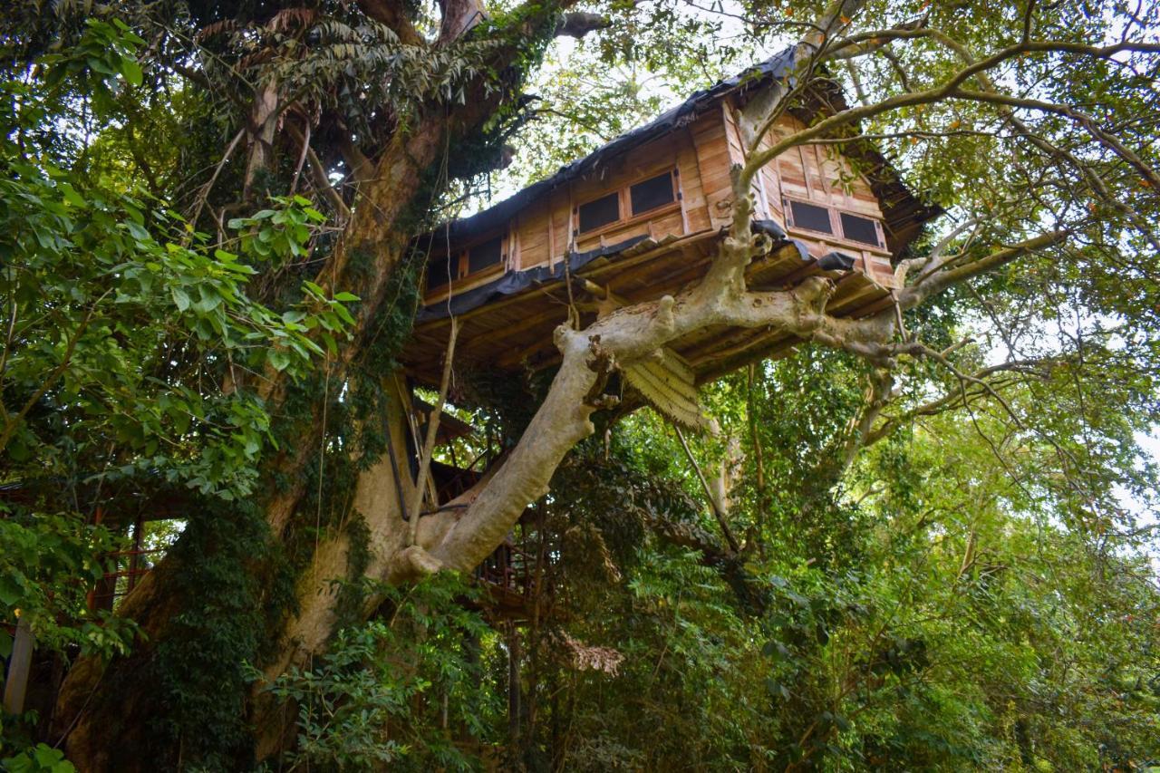 Villa Kumbuk Tree House Tissamaharama