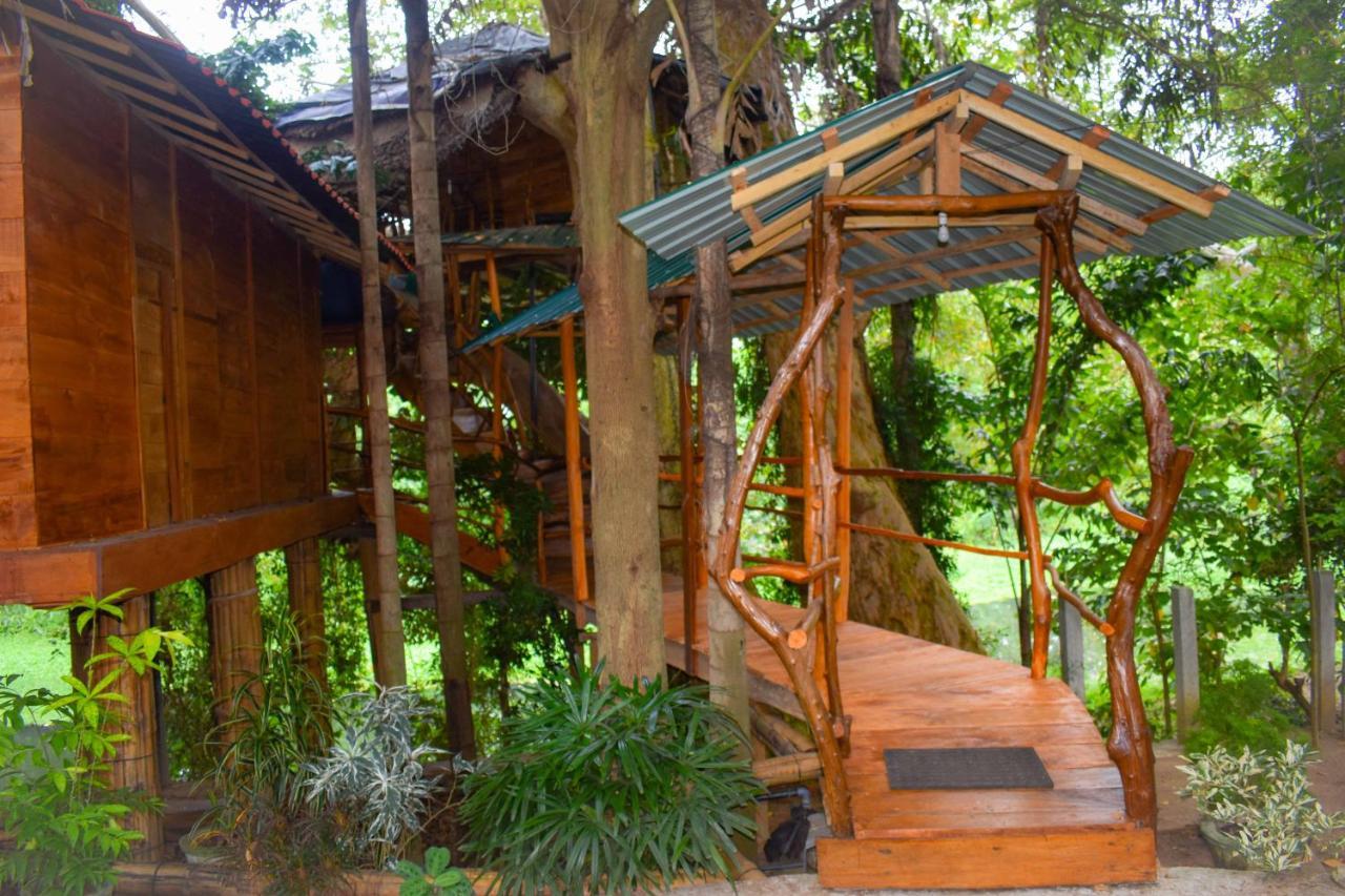 Villa Kumbuk Tree House Tissamaharama
