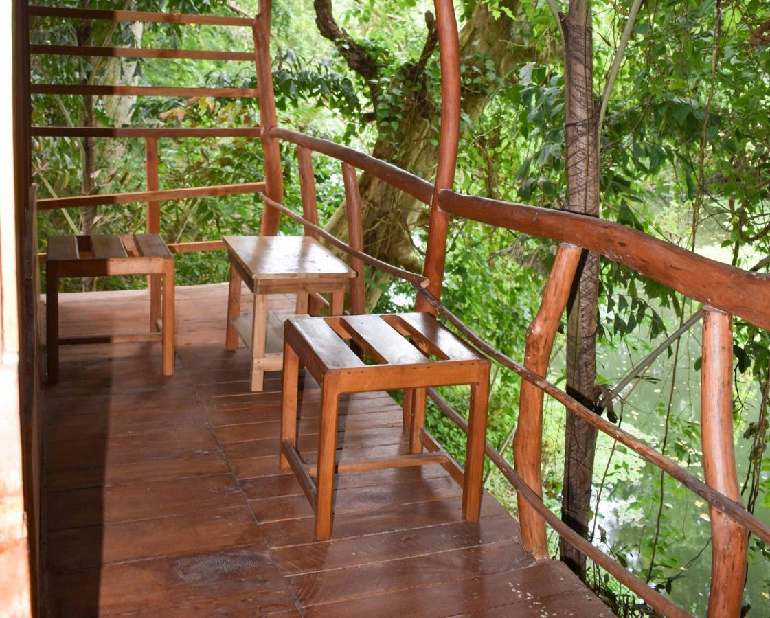 Kumbuk Tree House