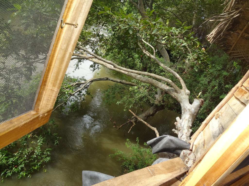 Kumbuk Tree House *