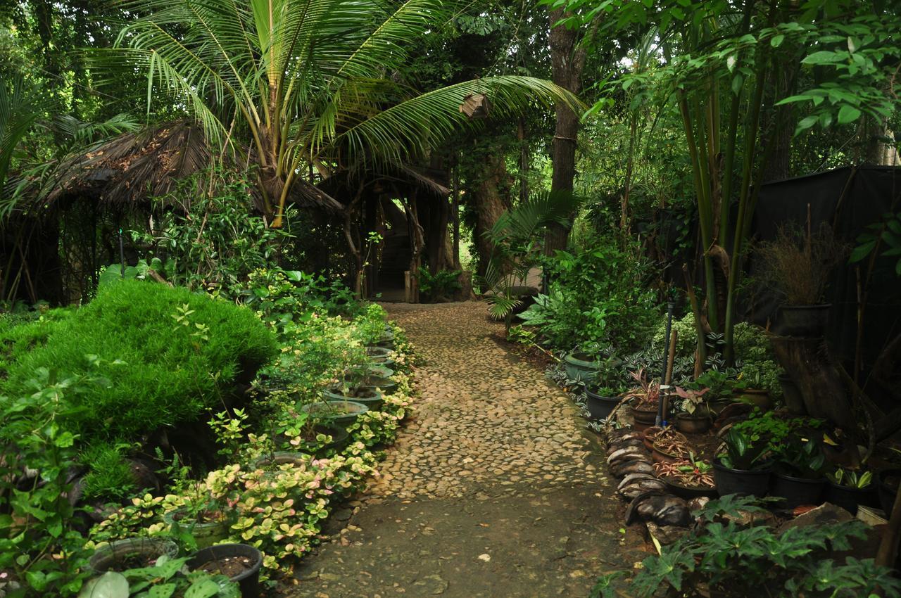 Villa Kumbuk Tree House *