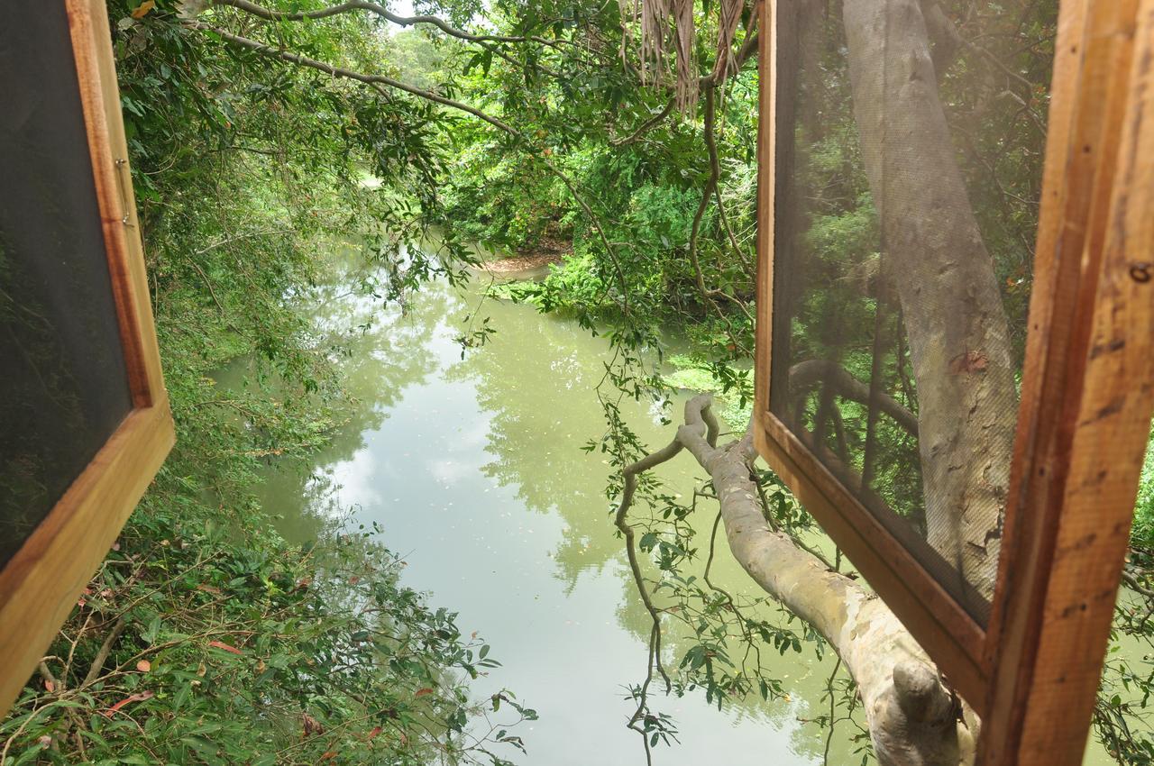 Kumbuk Tree House
