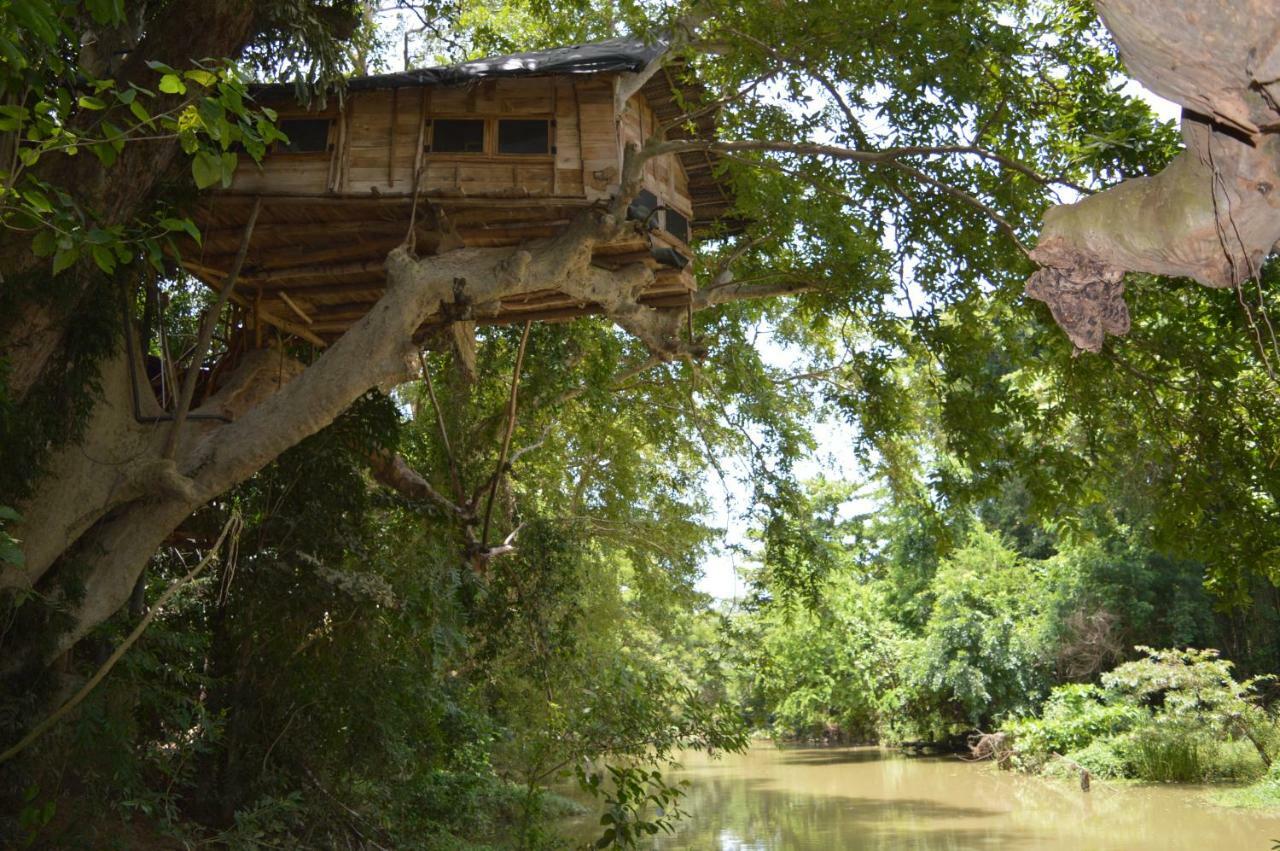 Kumbuk Tree House Villa *